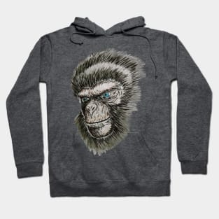 Planet Of The Apes/Cornelius!! Hoodie